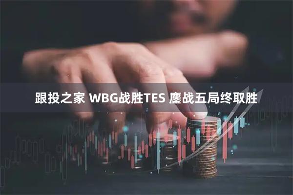 跟投之家 WBG战胜TES 鏖战五局终取胜